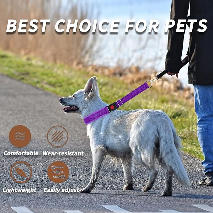 Martingale No Pull Dog Collar for Large Medium Small Dogs, Heavy Duty Nylon Reflective Adjustable Anti Pull Slip Collar with Buckle for Training Walking L Purple