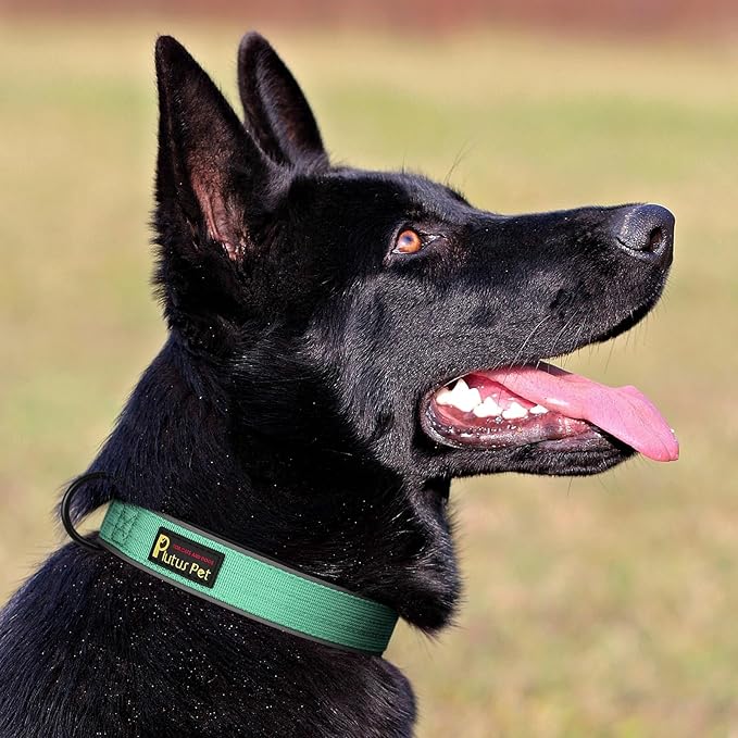 Plutus Pet Tactical Dog Collar, Reflective, Adjustable Heavy Duty Dog Collar, Soft Padded and Comfortable, for Small Medium and Large Dogs (Teal, M)
