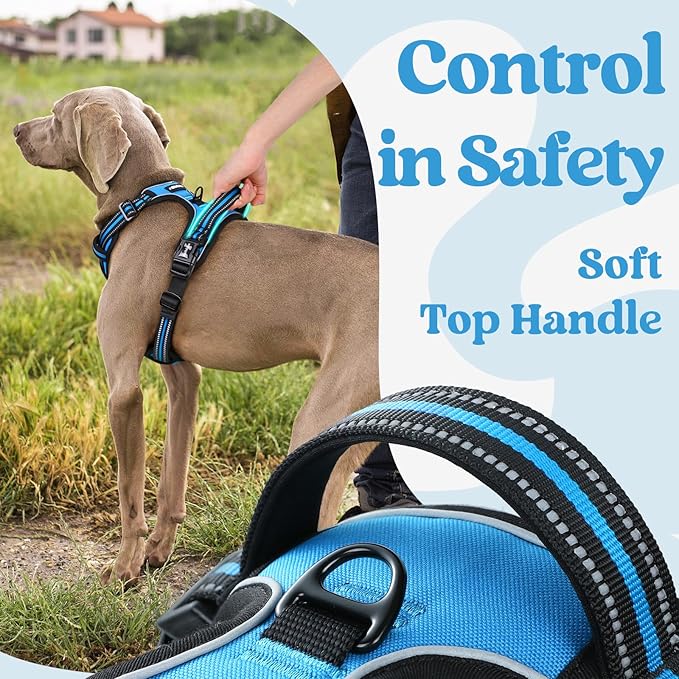 rabbitgoo Dog Harness Medium Sized, No Pull Pet Harness with 3 Buckles, Adjustable Soft Padded Vest with Control Handle, Walking Reflective Pet Vest for Medium Dogs, Sky Blue, M