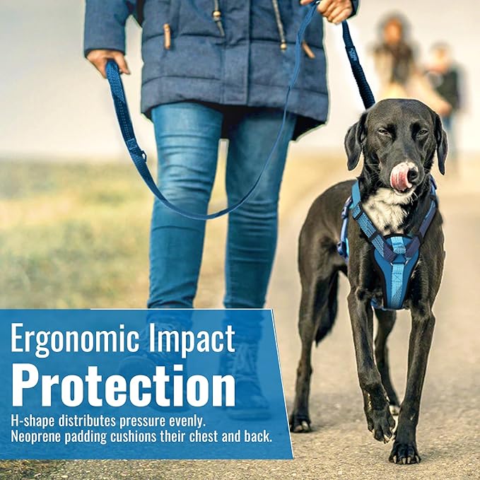 No-Pull Dog Harness with Handle - Escape Proof, Anti-Pulling, Grip Control, Multi-Angle Reflective for Safe Walks & Training, Easy On & Off, Metal Buckle–Pet Harness, Medium/Large Dogs- H3- Black