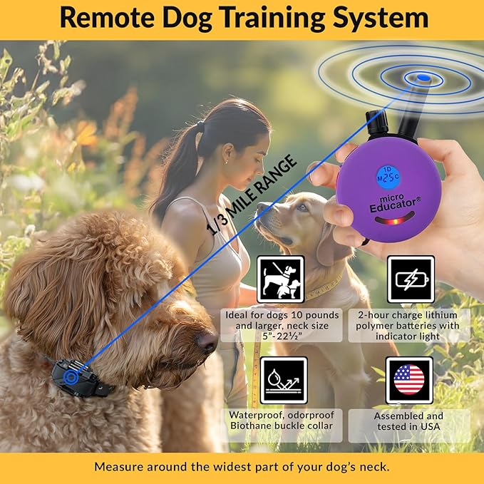 Educator E-Collar Humane Dog Training Collar with Remote, 100 Safe Tapping Stimulation Levels, Night Light, Waterproof, Rechargeable, 1/3 Mile 2 Small Dogs, Purple