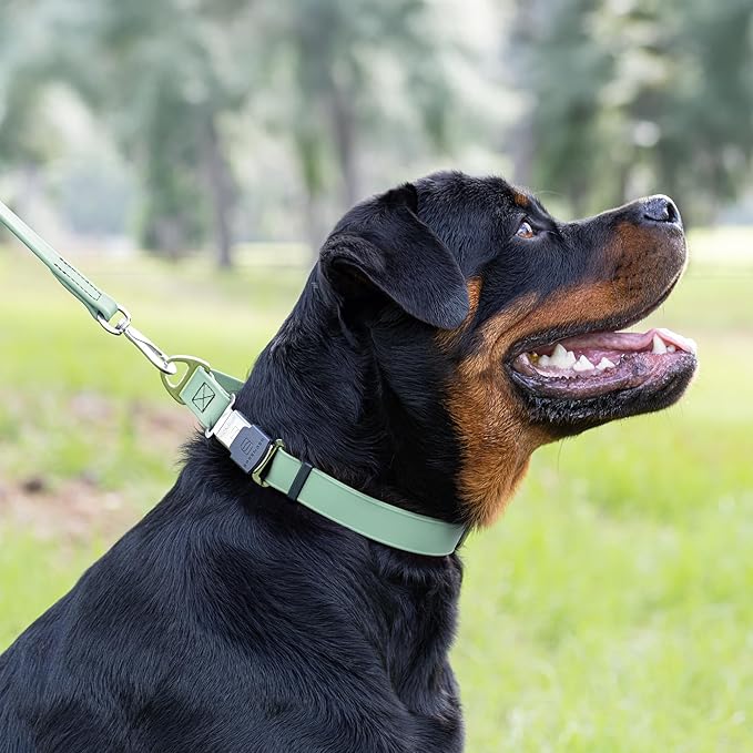 Dogline Biothane Waterproof Dog Collar with Herm Sprenger Stainless Steel Quick Release Buckle – Heavy Duty Tactical Durable Collar for Dogs – Comfortable and Safe Pet Collar W 3/4" L12-19 Sage Green