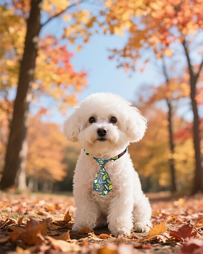 PET SHOW 10 Pack Fall Small Dog Ties Neckties for Doggies Cats Pumpkin Maple Leaf Adjustable Neck Ties Girl Boy Pets Autumn Costumes Puppy Holiday Grooming Accessories Wedding Party Gift Favor