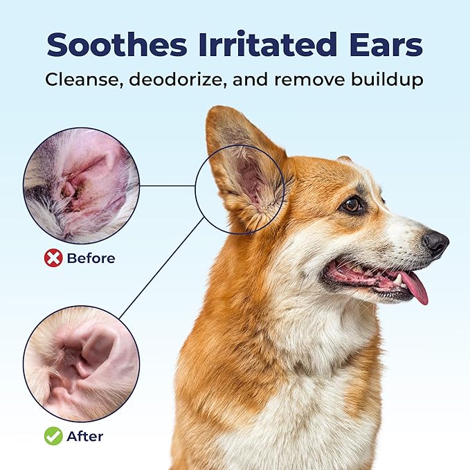 Vetnique Oticbliss Cat & Dog Ear Cleaners: Medicated Dog Ear Drops for Infection, Antiseptic Flush, & Wipes to Reduce Itchy Ears & Head Shaking - Vet Recommended for Itchy Ears (8oz, Flush)