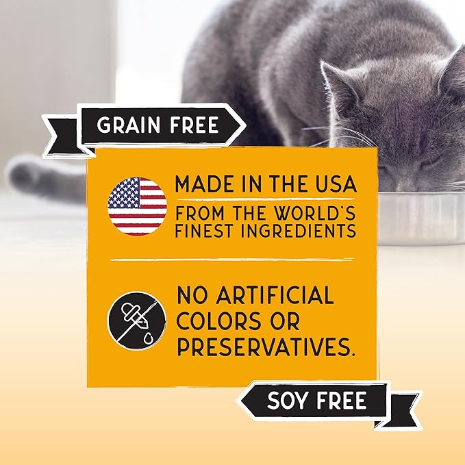 Blackwood Bounty Dry Cat Food, Chicken & Turkey Recipe for All Life Stages, 2 Pound Bag, High Protein, Grain Free