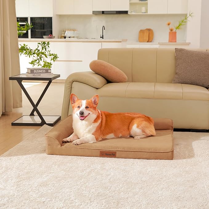 Chew Proof Dog Bed, 3" Memory Foam Dog Bed for Medium and Large Dogs, Removable and Washable Microsuede Cover, Waterproof Liner, Nonskid Bottom, 36x27 Inches L Khaki
