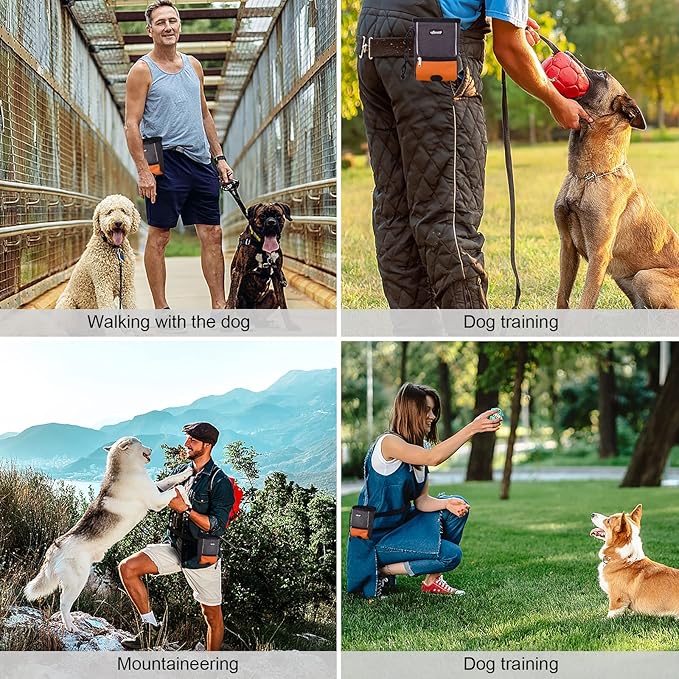 LIOPARD Treat Training Pouch for Dogs, Pet Treat Pouch, Dog Treat Pouches, Dog Treat Bag, Dog Training Treat Bag, Slanted Opening, Ideal for Dog Walking & Training (Orange)