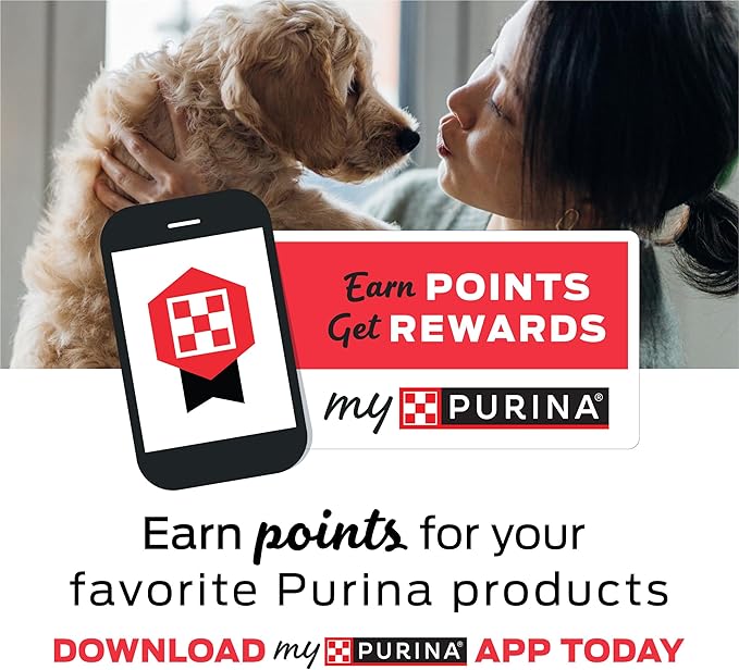 Purina Busy Bone Made in USA Facilities, Long Lasting Small/Medium Breed Adult Dog Chews, Peanut Butter Flavor - 10 ct. Pouch (Pack of 2)