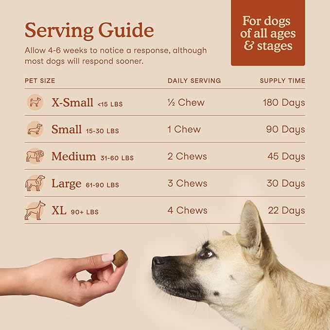Fera Pets Probiotics for Dogs with Prebiotics and Postbiotics - Full Spectrum Gut Health Support - Promotes a Balanced Gut Microbiome - Boosts Immune Health - 90 Soft Chews