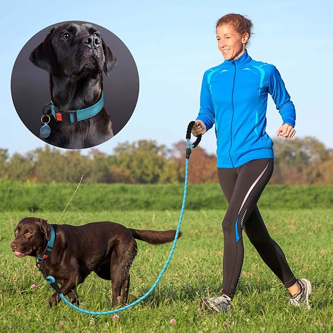 Heavy Duty Dog Leash - Comfortable Padded Handle, 5 ft Long - Dog Leashes for Small Medium Large Dogs (Leash+Collar L Neck 20"-25", Red)