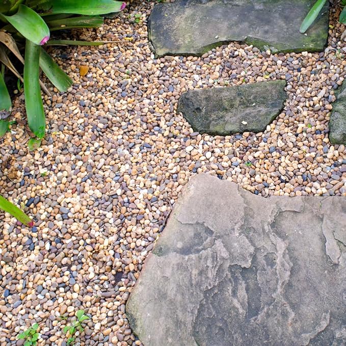 20lbs Natural River Rocks, 1/4" Aquarium Gravel Small Rocks for Plants Pea Gravel for Fish Tank, Decorative Pebbles for Gardening, Flower Pots, Vase Fillers, Indoor Water Fountains, Landscaping