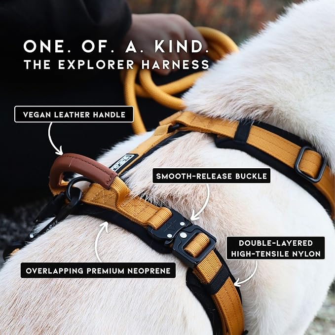 MADE TO ROAM Premium Explorer Harness - Y-Shaped Dog Harness with Adjustable Durable Nylon, Soft Padding, Metal Buckles and Leather Handle for Small, Medium, Large Dogs (Texas Flair, Size 5)