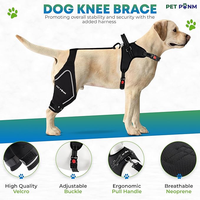 Dog ACL Knee Brace for Back Left Leg - with Integrated Harness - for Cruciate Ligament Injuries, Patellar Luxation, Post-Surgery Recovery. Durable, Breathable Material, Eases Pain - (Medium)