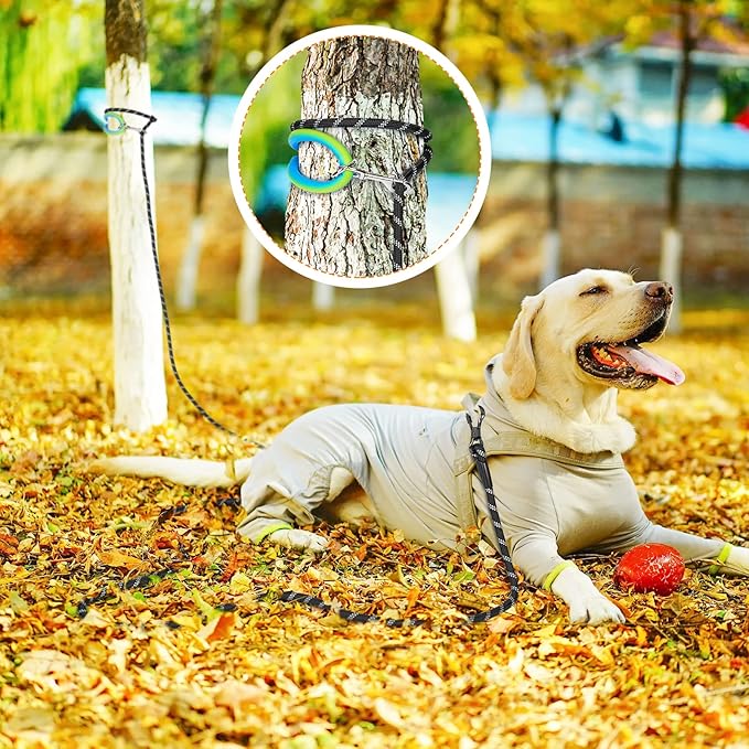 NTR 40FT Training Leash for Dogs, Nylon Rope With 2 Swivel Hooks and Soft Rubber Handle, Cat Puppy Lead for Small Medium Large Dogs Training, Playing, Camping, or Backyard-Red