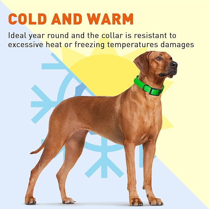 Dogline Biothane Waterproof Dog Collar Strong Coated Nylon Webbing with Black Hardware Odor- Proof for Easy Care Easy to Clean High Performance Fits Small Medium or Large Dogs, Tropical Green