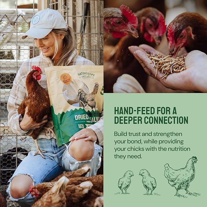 Chicken Feed Dried Mealworms - 5 Lb, Non-GMO & Organic - High-Protein Mealworms for Wild Birds & Ducks, Chicken Treats & Bird Food