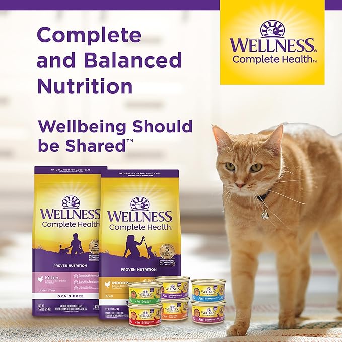 Wellness Complete Health Natural Grain Free Wet Canned Cat Food, Chicken & Lobster Pate, 5-Ounce Can (Pack of 24)