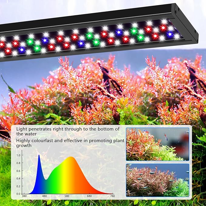 AQQA Full Spectrum Aquarium Light, Fish Tank Lights for Plant Growth Fish Viewing,3 Mode White Blue Red Green LED beads,Timer,Adjustable Brightness,Extendable Brackets for Freshwater 14W for 12-18inch