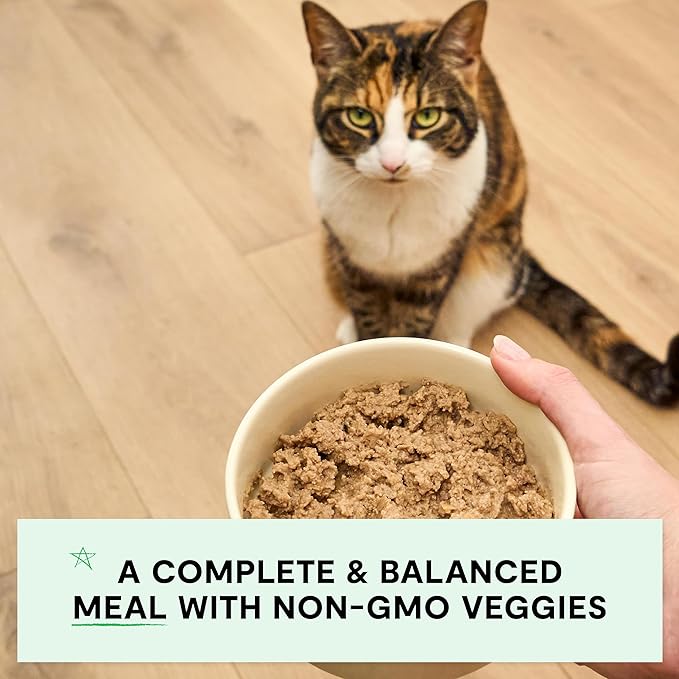 Open Farm Canned Cat Food, Paté for Complete & Balanced Nutrition, Grain-Free and Legume-Free Wet Cat Food, Homestead Turkey Recipe, 5.3oz Cans (Case of 12)
