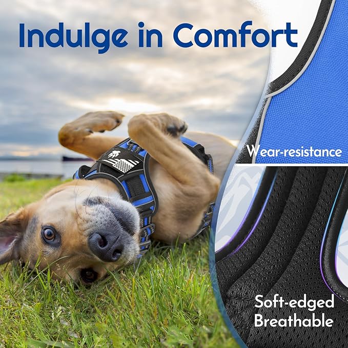 Eagloo Dog Harness for Large Dogs, Easy Wearing with 3 Buckles, Adjustable No Pull Pet Harness with 2 Rings for Walking, No Chock Reflective Soft Padded Vest with Control Handle, Blue & Black, XL