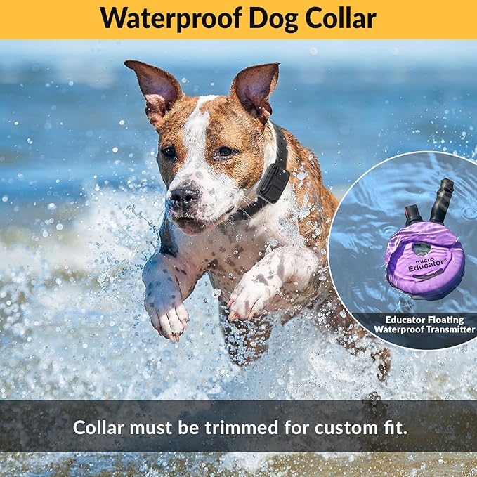 Educator E-Collar Humane Dog Training Collar with Remote, 100 Safe Tapping Stimulation Levels, Night Light, Waterproof, Rechargeable, 1/3 Mile 1 Small Dog Double Bungee Collar Bundle, Purple