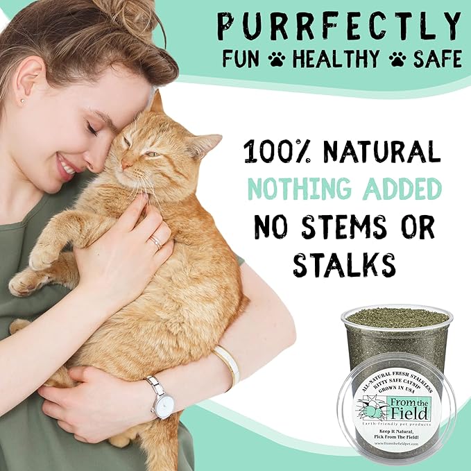from The Field | Fine Ground Stalkless Catnip | Premium USA-Grown Catnip for Toys & Playtime | Fresh, Potent, Non-Toxic, Eco-Friendly | Safe for Kittens & Cats | Resealable 6 oz Tub