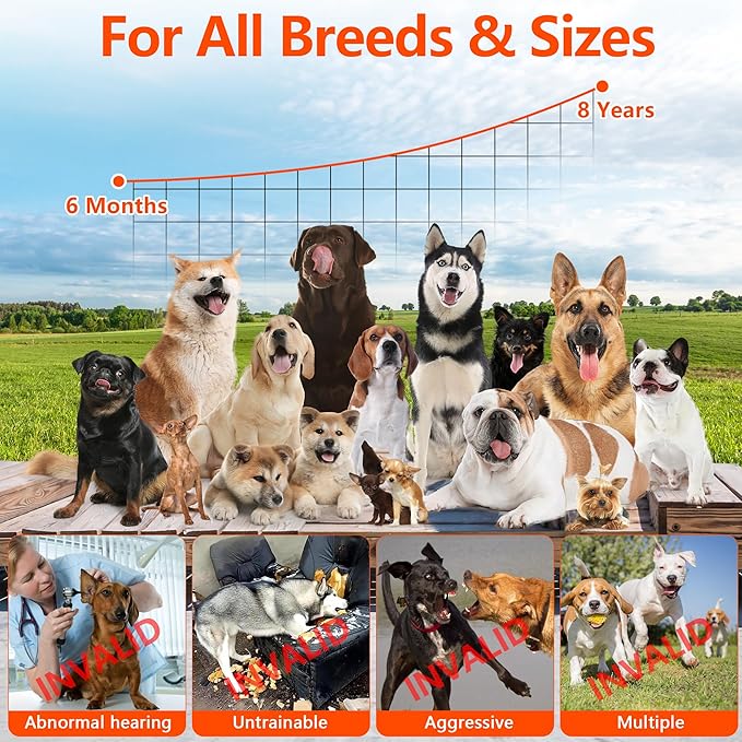 2025New Anti Barking Device, Bark Box Rechargeable Dog Barking Deterrent Devices with Variable Ultra Frequency/6 Modes/IP65 Waterproof Dog Silencer Stop Neighbors‘ Dog from Barking Up to 75ft(Grey)