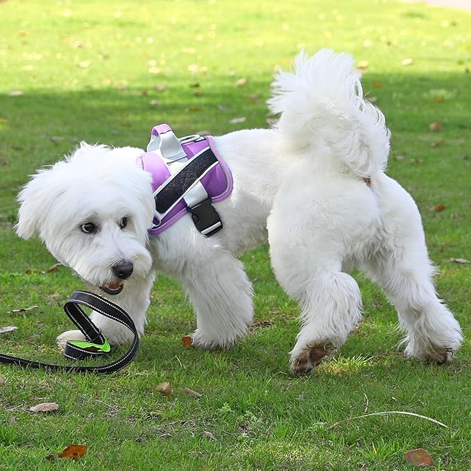Bolux Dog Harness, No-Pull Reflective Dog Vest, Breathable Adjustable Pet Harness with Handle for Outdoor Walking - No More Pulling, Tugging or Choking (Lavender, Small (Pack of 1))