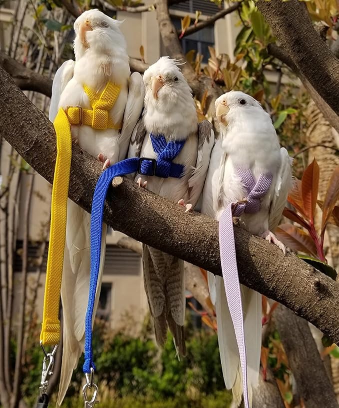 Pet Parrot Bird Harness Leash Adjustable Bird Flying Harness Traction Rope with Cute Wing for Parrots Pigeons Budgerigar Lovebird Cockatiel Mynah Outdoor Training Toy (S, Purple)