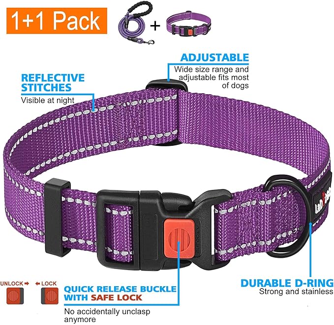 Heavy Duty Dog Leash - Comfortable Padded Handle, 5 ft Long - Dog Leashes for Small Medium Large Dogs (Leash+Collar S Neck 13.5"-16", Purple)