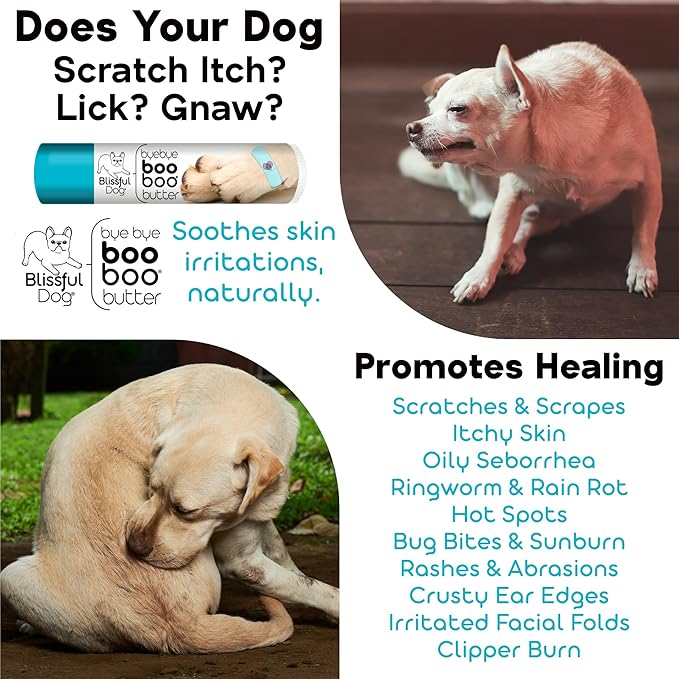 The Blissful Dog .15 oz Tube American Eskimo Booboo Butter