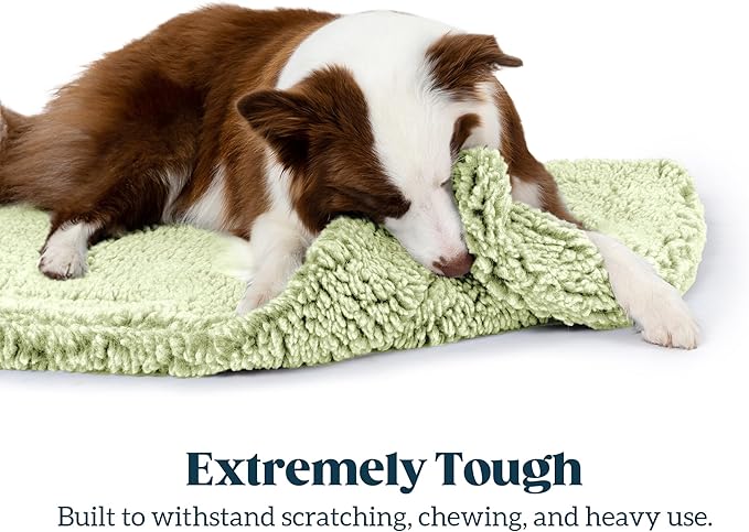 Stoutwool Indestructible Dog Bed - Fluffy Chew Proof Dog Crate Pad - Tough Kennel Pad for Aggressive Chewers - Washable, Ideal for Small Breeds & Fits 24-Inch Crate - 23"x16", Gleam