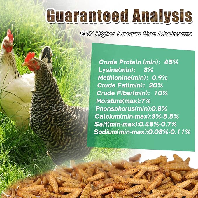 Dried Black Soldier Fly Larvae, 85X More Calcium Than Mealworms High-Protein BSF Larvae Chicken Treats Non-GMO BSFL for Chickens, Hens, Ducks, Wild Birds 5LBS
