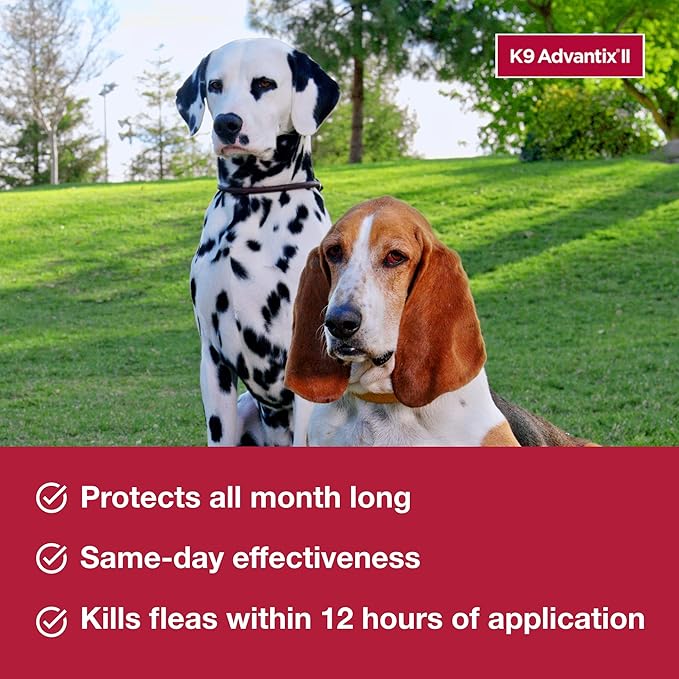K9 Advantix II XL Dog Vet-Recommended Flea, Tick & Mosquito Treatment & Prevention | Dogs Over 55 lbs. | 6-Mo Supply (Pack of 2)