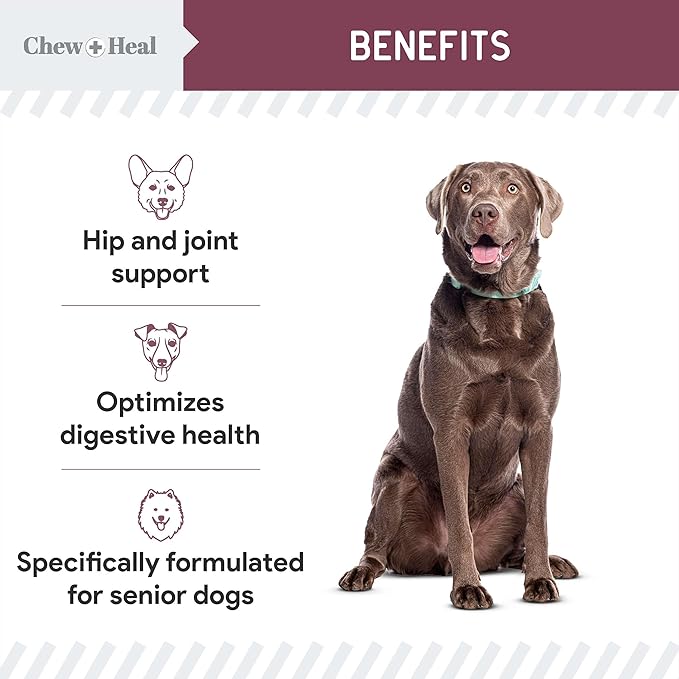 12-in-1 Multivitamin for Senior Dogs - 120 Senior Dog Vitamin and Supplement Soft Chews for Hip and Joint - Advanced Formula with Glucosamine, Omega 3,6,9, Vitamins, Probiotics - Made in The USA
