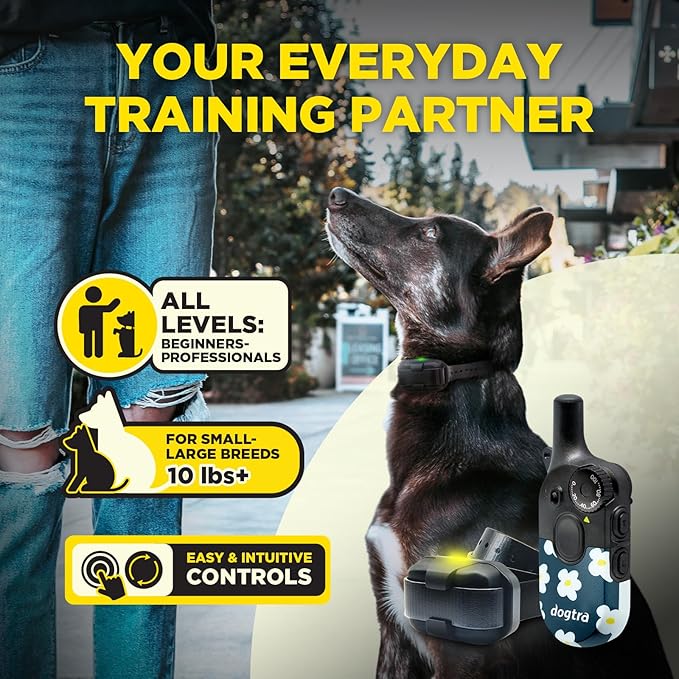 Dogtra 200iQ Remote Training E Collar – 100 Levels, Tone, Vibration, 1/2 Mile Range – Compact, Waterproof, One-Handed Control for Dogs 10 lbs+ – Lightweight Design for Daily Training – Flower Power
