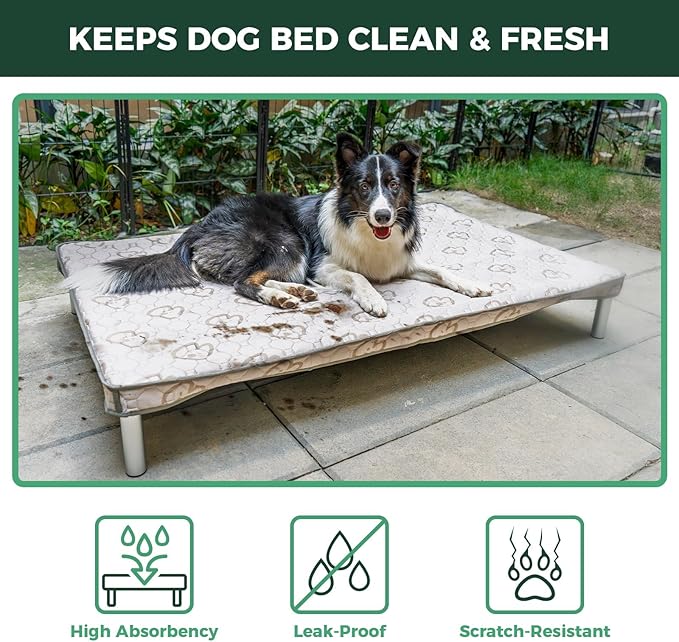 FXW TitanNest Chew-Proof Elevated Dog Bed, Raised Cot for Indoor/Outdoor/Camping Use, Durable & Waterproof Cooling Pet Bed with Exclusive Reuseable Cover for Toy Dogs, 24.0"L x 20.0"W x 4.1"H, Black