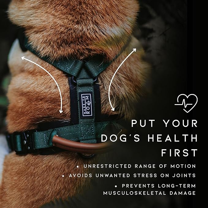 MADE TO ROAM Premium Explorer Harness - Y-Shaped Dog Harness with Adjustable Durable Nylon, Soft Padding, Metal Buckles and Leather Handle for Small, Medium, Large Dogs (Nevada Evening, Size 2)