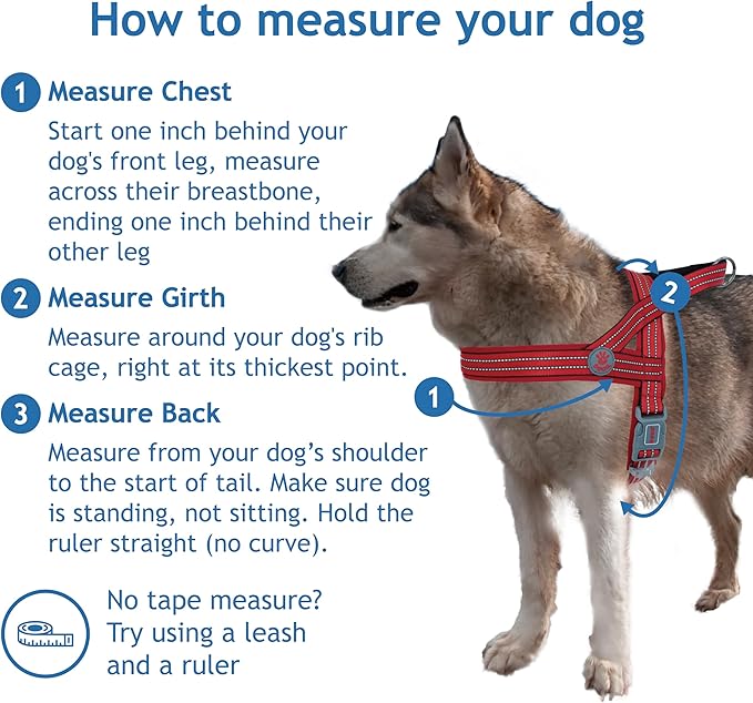 DOCO No-Pull Dog Harness Halter Reflective Easy-Control Harness for Training, Walking, and Preventing Pulling, Ideal for Large Dogs(Red)
