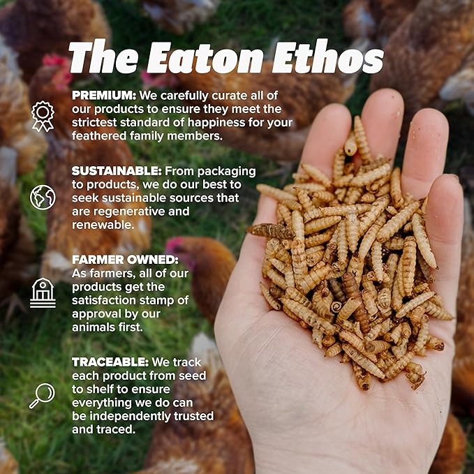Eaton Pet and Pasture Premium Grubs, USA Grown Dried Black Soldier Fly Larvae, High Calcium Treat for Chickens, Ducks, Wild Birds (5 LB)