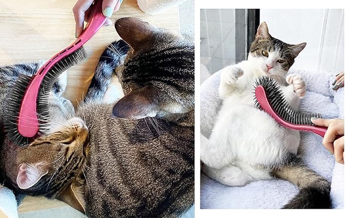 (Pink) Designed for Comfort, Created for Results. This innovative grooming brush features multi contoured bristles that gently adapt to your cats body for a stress-free brushing experience.