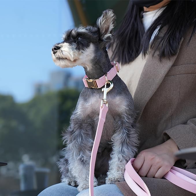 PET ARTIST Soft PU Leather Dog Collar, Bright & Classic Pink Dog Collar with Quick Release Rose Metal Buckle, Adjustable Nylon Padded Durable Pet Collars for Small Dogs Girl, Neck Fit 9-14"