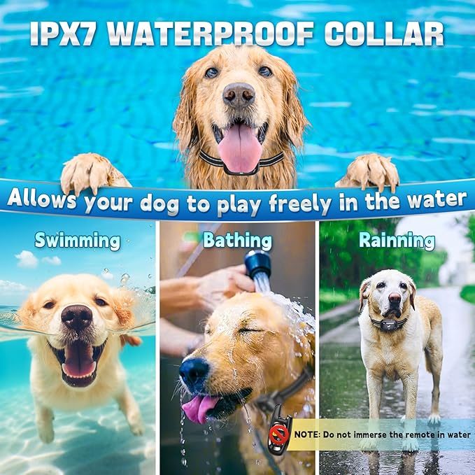 Dog Shock Collar for 2 Dogs - [2025 Newly Upgraded] Dog Training Collars with Remote,Rechargeable E-Collar Waterproof Collars with Unique Shock-Lock Keypad for Large Medium Small Dogs All Breeds