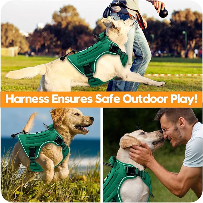 Heavy-Duty Tactical Dog Harness for Large Dogs, No Pull Adjustable Reflective Pet Vest with Molle System, K9 Military-Grade Control for Service Training, Outdoor & 10+ Breeds, Turquoise, Large