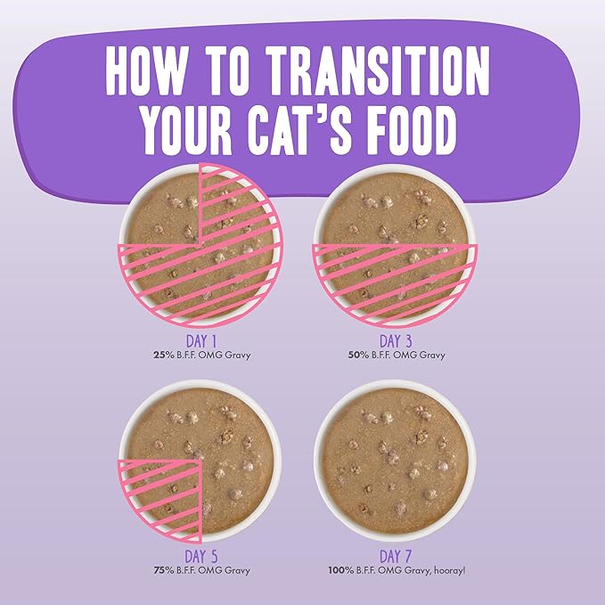 Weruva B.F.F. OMG - Best Feline Friend Oh My Gravy!, Tuna & Duck Devour Me with Tuna & Duck in Gravy Cat Food, 3oz Pouch (Pack of 12)