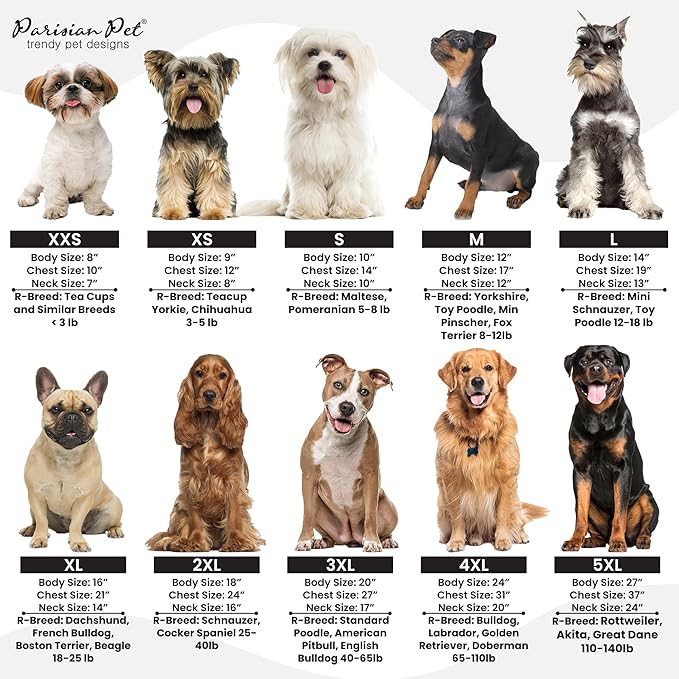Parisian Pet Palm Leaves Dog Shirt - 100%Cotton Summer Clothes - Stylish Beach Outfit - Hook and Loop Closure - Machine Washable for Medium Dogs - M