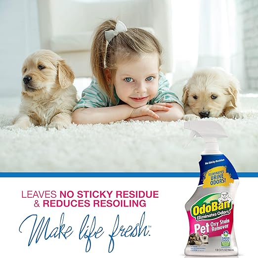 OdoBan Pet Solutions No Rinse Neutral pH Floor Cleaner Concentrate, Made in the USA, 1 Gallon, and Oxy Stain Remover, 32 Ounce Spray