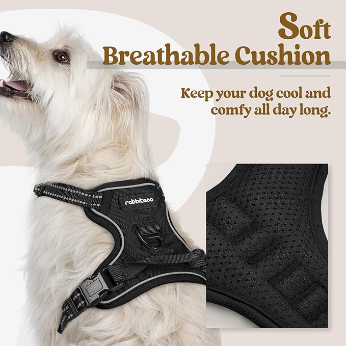 rabbitgoo Dog Harness No Pull with 2 Leash Clips, Adjustable Soft Padded, Reflective Oxford No Choke Pet Vest with Easy Control Handle for Puppy, Black, XS