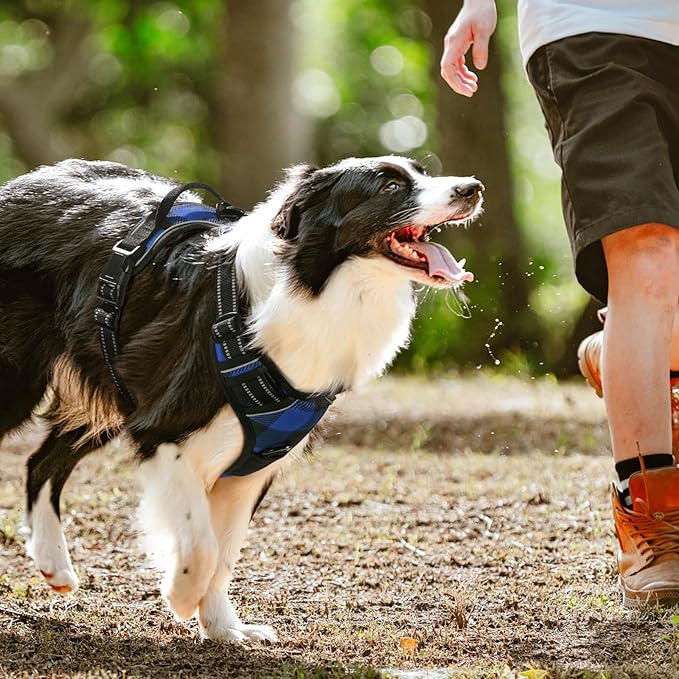 rabbitgoo Dog Harness No Pull with 2 Leash Clips, Adjustable Soft Padded, Reflective Oxford No Choke Pet Vest with Easy Control Handle for Large Dogs, Blue Plaid, XL