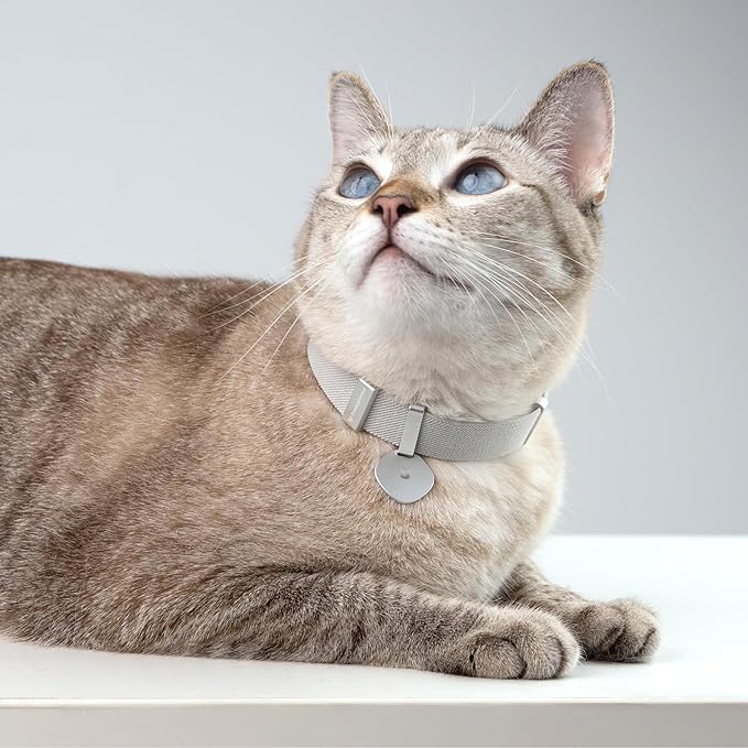 Safety Cat Collar Pro and Tag Set - U.S. IDA Gold Award, Elastic Release Cat Collar Charm Tag, Non Breakaway Cat Collar Adjustable with Charm for Kitten Small Large Cats (Midnight Black, S)